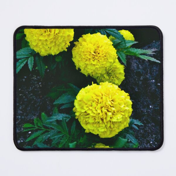 Item preview, Marigolds designed and sold by MercerImages.