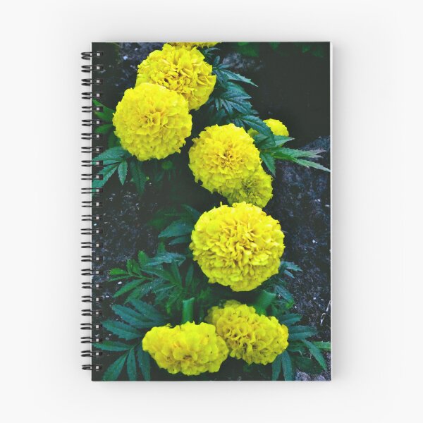 Item preview, Marigolds  designed and sold by MercerImages.