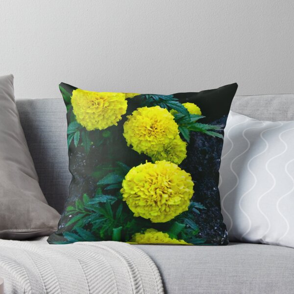 Item preview, Marigolds  designed and sold by MercerImages.