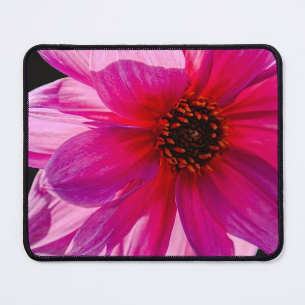 Item preview, Purple Dahlia designed and sold by Dalyndigital Photography.