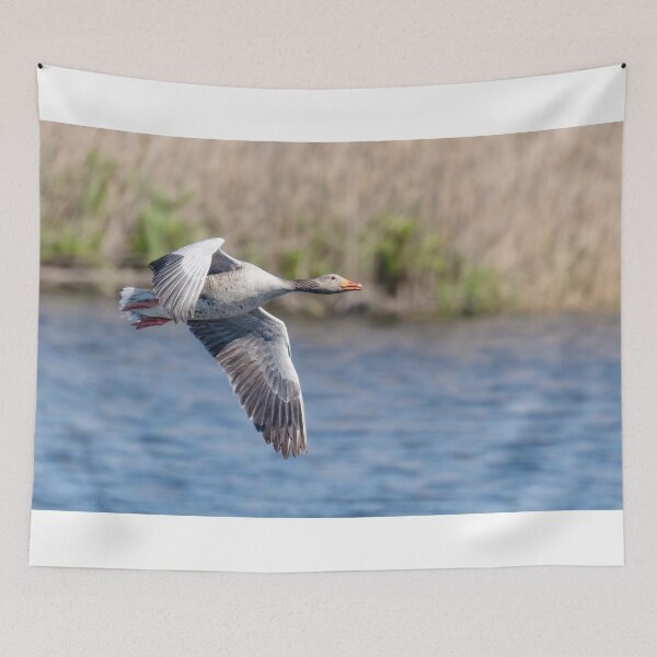 Item preview, Greylag Goose,flying goose designed and sold by kathleenjean.