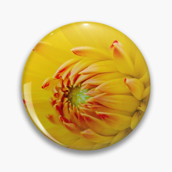 Item preview, Red and Yellow Dahlia designed and sold by Dalyndigital Photography.