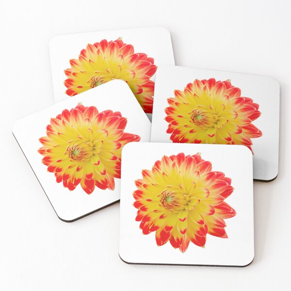 Item preview, Red and Yellow Dahlia designed and sold by Dalyndigital Photography.