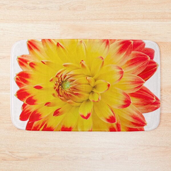 Item preview, Red and Yellow Dahlia designed and sold by Dalyndigital Photography.