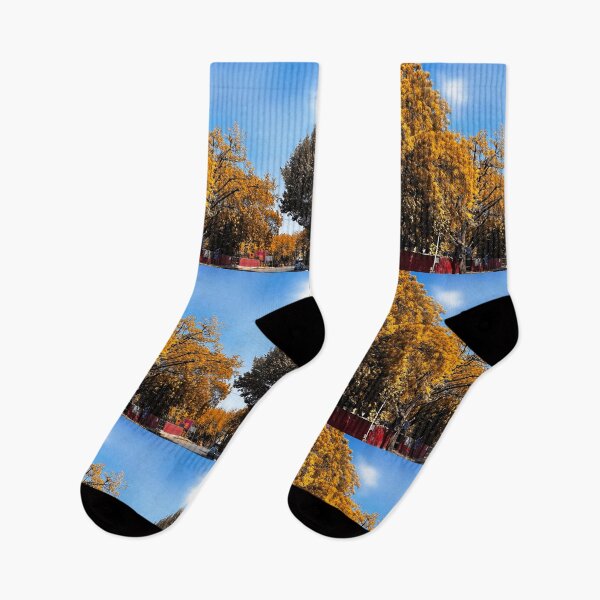 Item preview, Fall Trees wallpaper designed and sold by Giri1412.