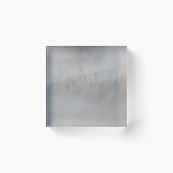 Item preview, Larches autumn forest lost in the fog designed and sold by adriiicase.