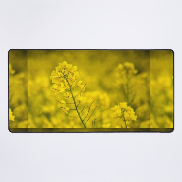 Item preview, Yellow Mellow designed and sold by AmandaJanePhoto.