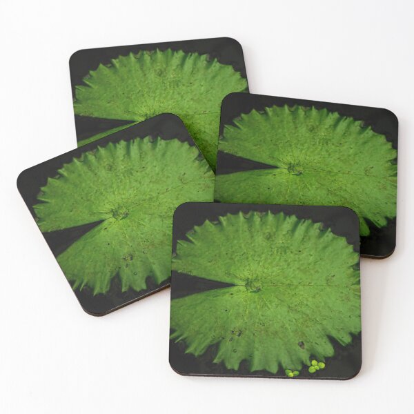Item preview, Lilly Pad  designed and sold by AmandaJanePhoto.