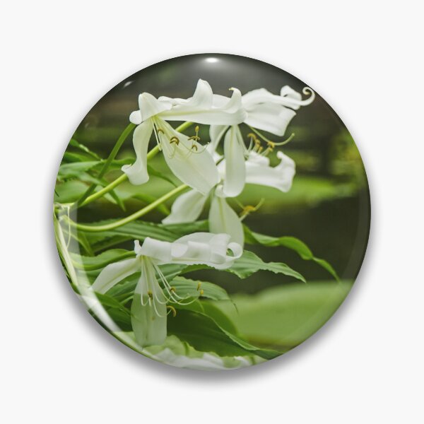 Item preview, Water Lilly designed and sold by AmandaJanePhoto.