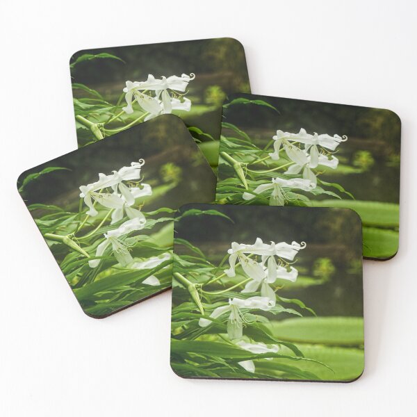 Item preview, Water Lilly designed and sold by AmandaJanePhoto.