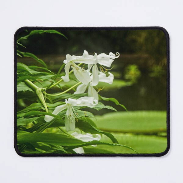 Item preview, Water Lilly designed and sold by AmandaJanePhoto.