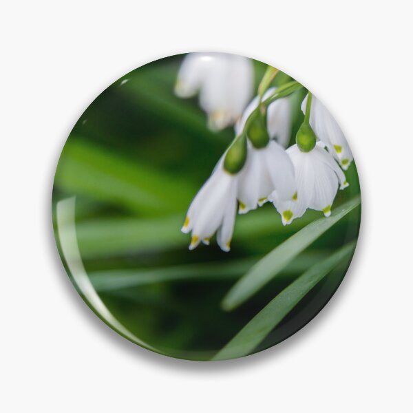 Item preview, Snowdrops designed and sold by AmandaJanePhoto.