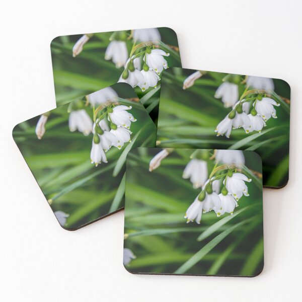 Item preview, Snowdrops designed and sold by AmandaJanePhoto.