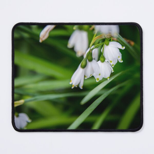 Item preview, Snowdrops designed and sold by AmandaJanePhoto.