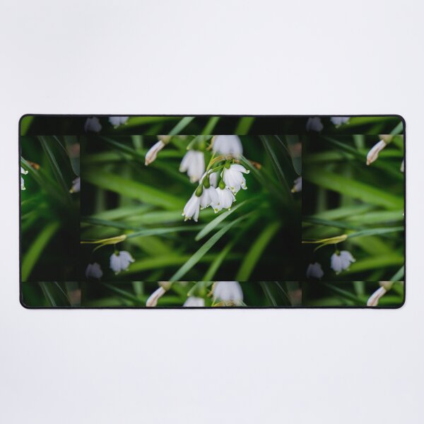 Item preview, Snowdrops designed and sold by AmandaJanePhoto.