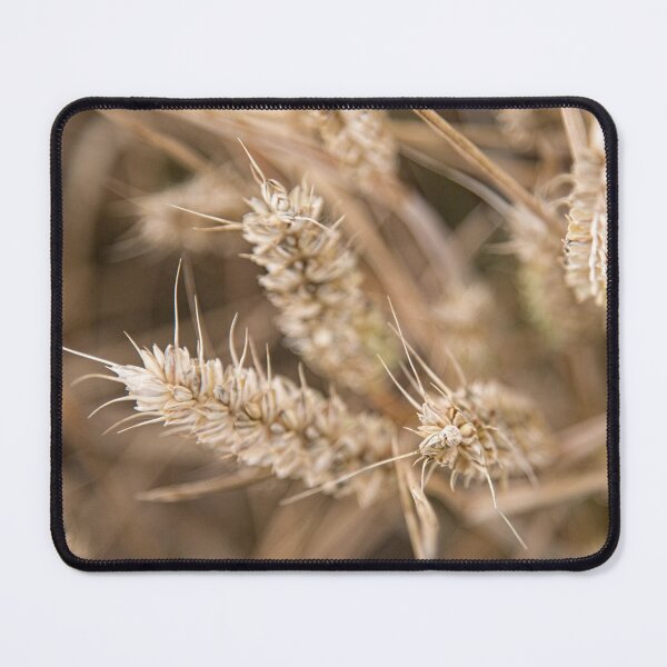 Item preview, Wheat designed and sold by AmandaJanePhoto.