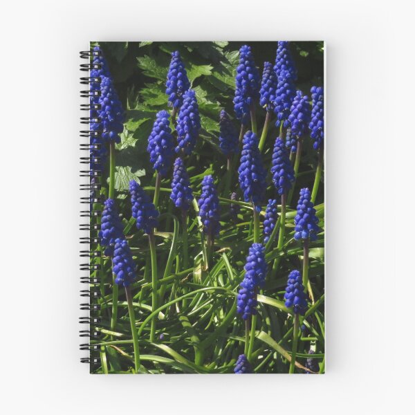 Item preview, Grape Hyacinth designed and sold by wiggyofipswich.