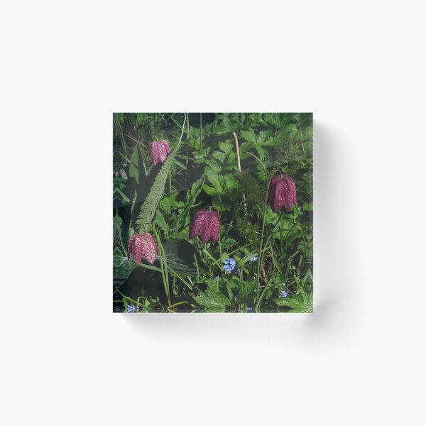 Item preview, Fritillaria Meleagris designed and sold by wiggyofipswich.