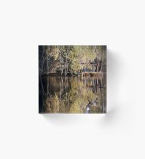For the Bird Watchers by Lorraine McCarthy Acrylic Block