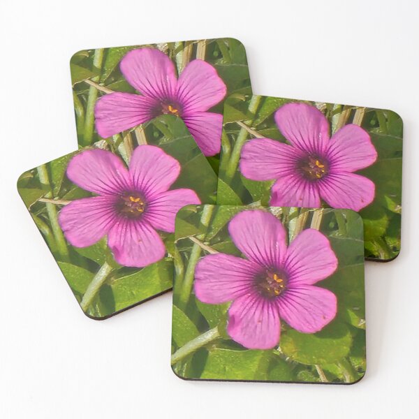 Item preview, Pink-sorrel designed and sold by FFCrusader.