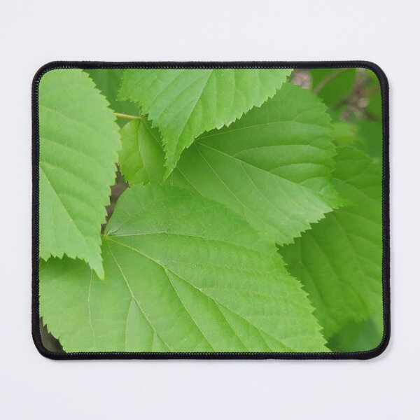 Item preview, Green Leaves Summer Plants designed and sold by showyowl.
