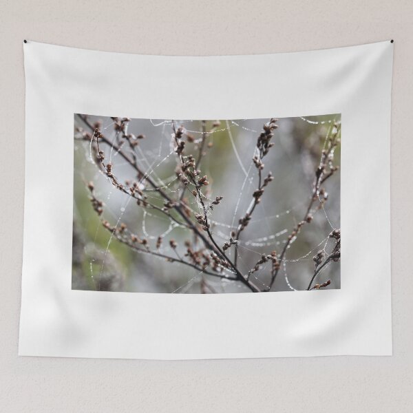 Item preview, branches with dew drops on spider cobweb designed and sold by goceris.