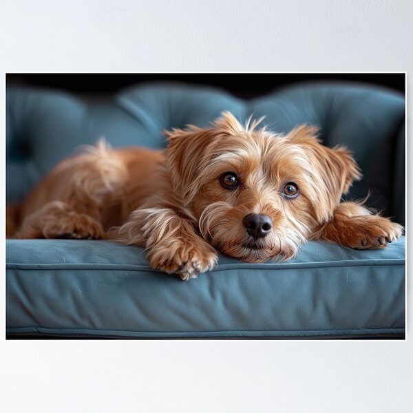 Item preview, Trendy Dog in Contemporary Cyan Parlor designed and sold by Shirtastically.