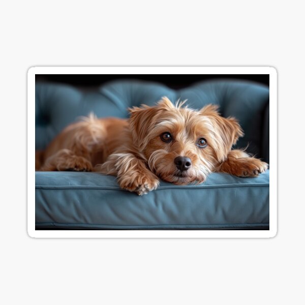 Item preview, Trendy Dog in Contemporary Cyan Parlor designed and sold by Shirtastically.