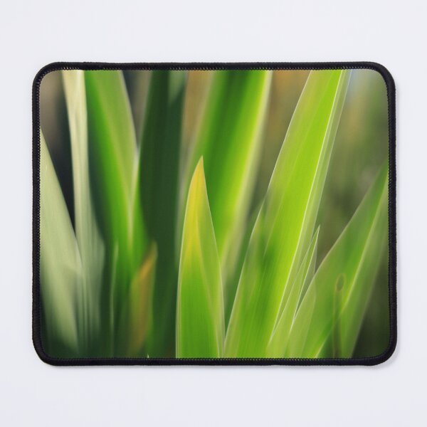 Item preview, Golden Point designed and sold by SunlitColors.