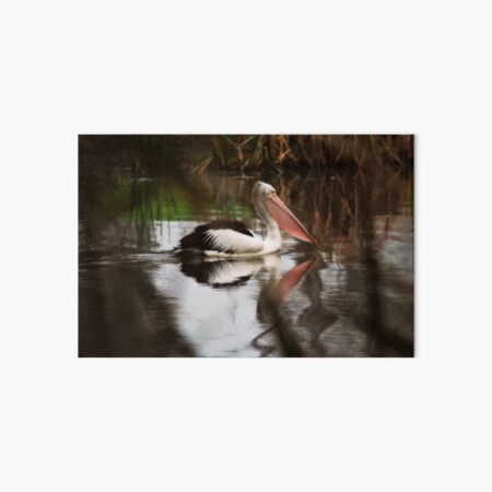 Morning Contemplation Art Board Print