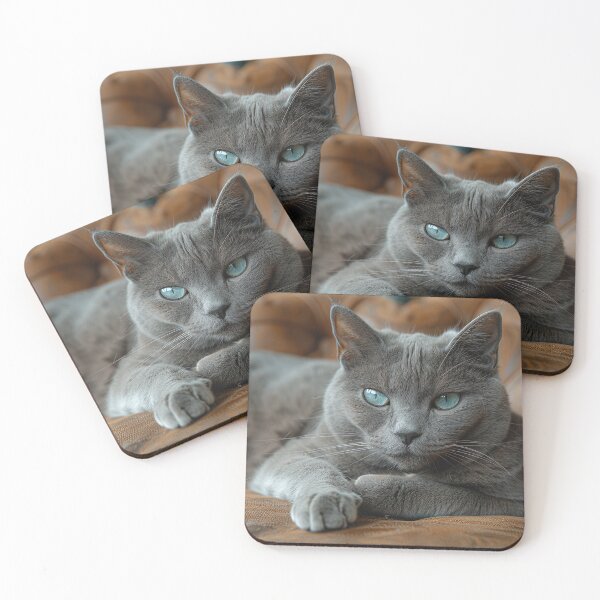 Item preview, Captivating Grey Cat with Cyan Eyes in Antique Parlor designed and sold by Shirtastically.