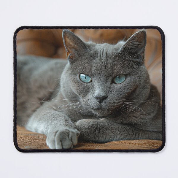 Item preview, Captivating Grey Cat with Cyan Eyes in Antique Parlor designed and sold by Shirtastically.