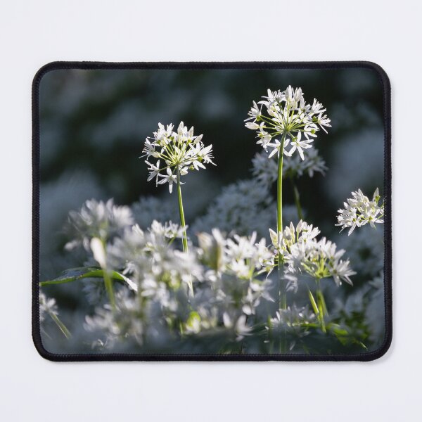 Item preview, Sunlit Wild Garlic in the Forest designed and sold by Imladris01.