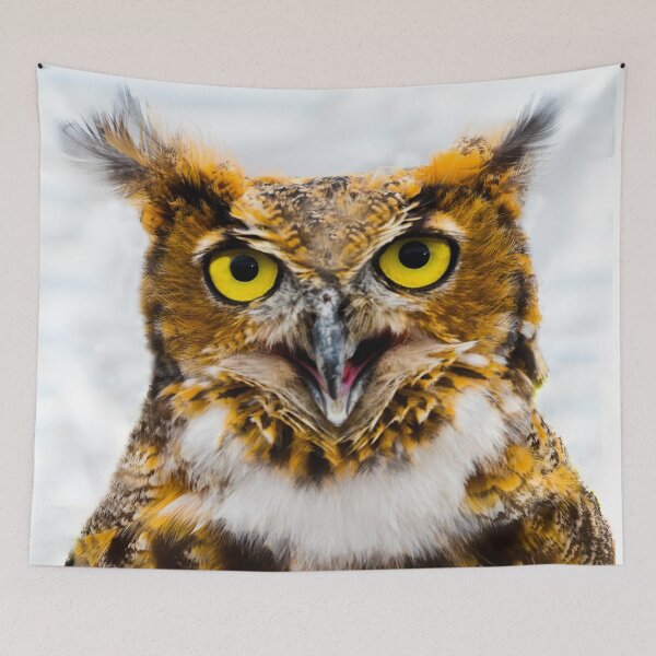 Item preview, Great Horned Owl designed and sold by ginawaltersdorf.