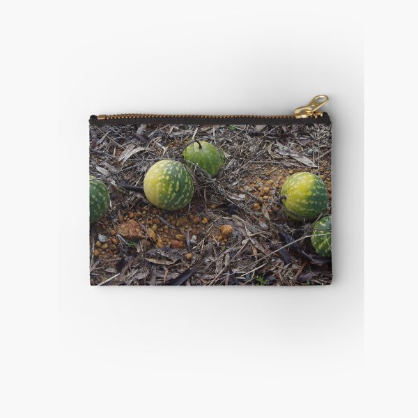 Item preview, Citrullus lanatus, Pig Melons designed and sold by lezvee.