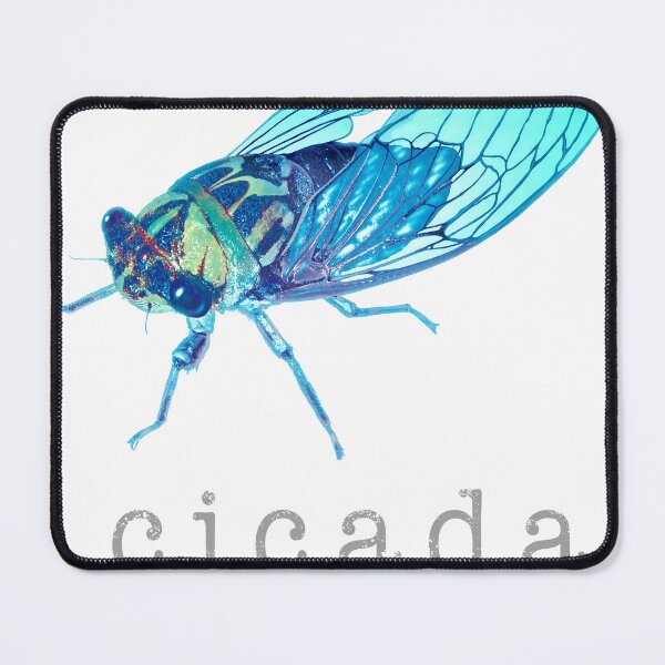 Item preview, Cicada and Cidadas or Cicala bug after a long hibernation underground as a symbol of nature and entomology education for large bugs. designed and sold by lightidea.