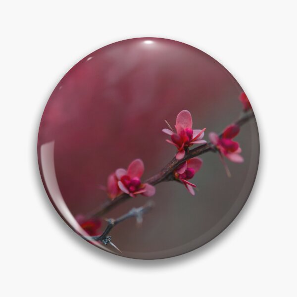 Item preview, Japanese Barberry designed and sold by Cblifeisgood.
