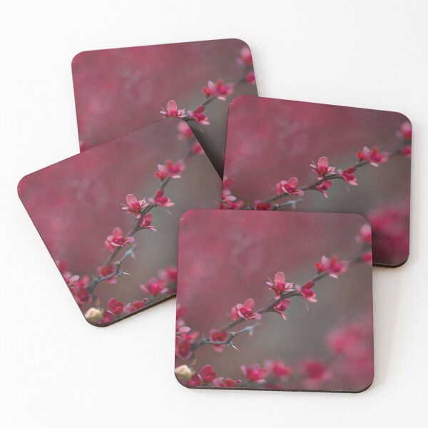 Item preview, Japanese Barberry designed and sold by Cblifeisgood.