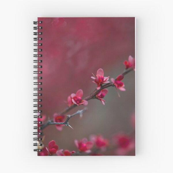 Item preview, Japanese Barberry designed and sold by Cblifeisgood.