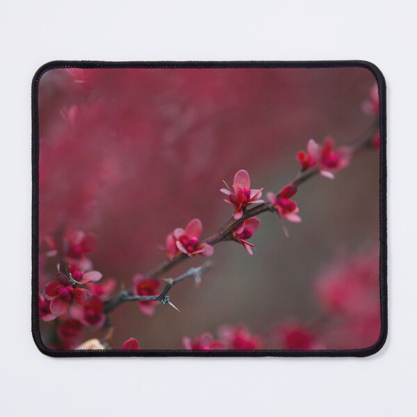Item preview, Japanese Barberry designed and sold by Cblifeisgood.