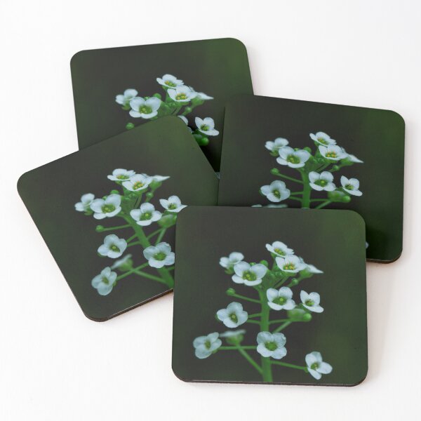 Item preview, Sweet Alyssum  designed and sold by Cblifeisgood.