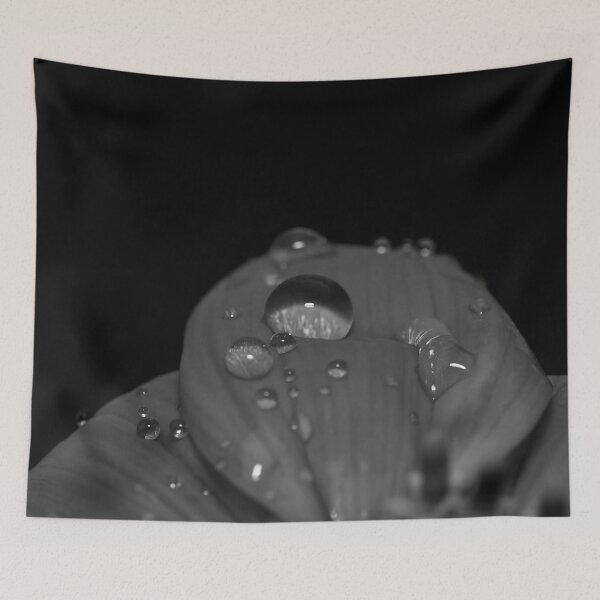 Item preview, Rain on petals designed and sold by Cblifeisgood.