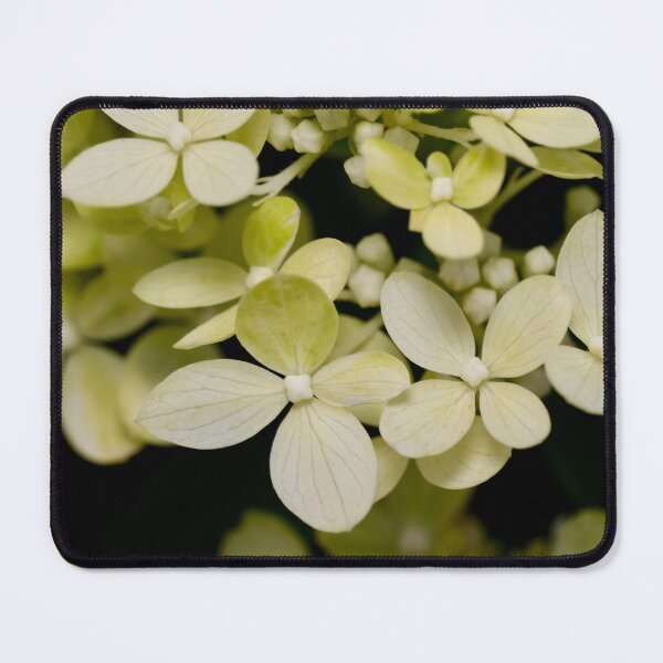 Item preview, Hydrangea close up designed and sold by Cblifeisgood.