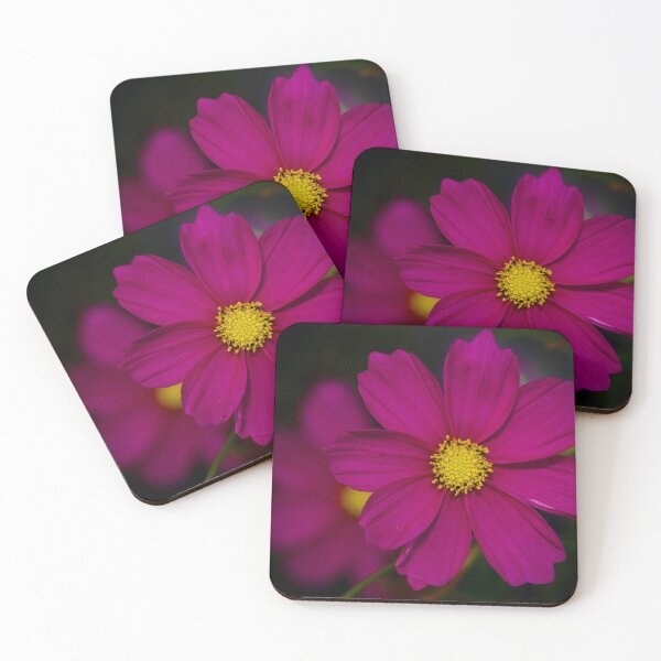Artikelvorschau, Cosmos flower entworfen und verkauft von Cblifeisgood.