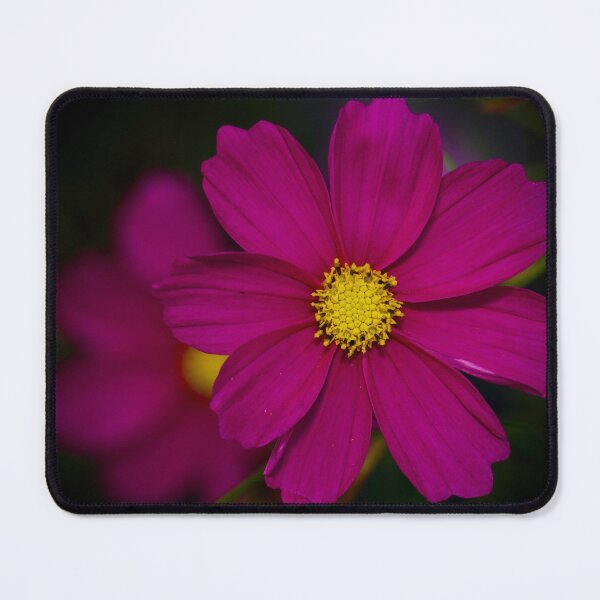 Item preview, Cosmos flower designed and sold by Cblifeisgood.