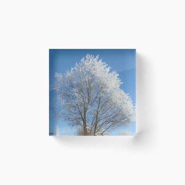 Item preview, Frost on tree designed and sold by Cblifeisgood.