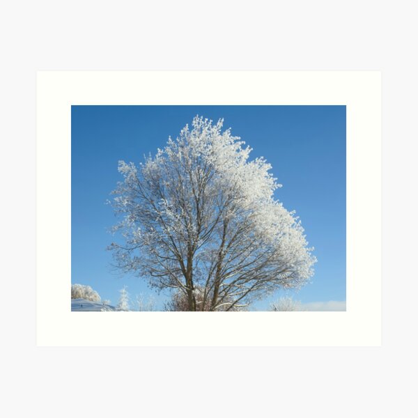 Item preview, Frost on tree designed and sold by Cblifeisgood.
