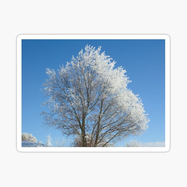 Item preview, Frost on tree designed and sold by Cblifeisgood.