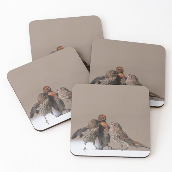 Item preview, Male House Finch and kids designed and sold by Cblifeisgood.