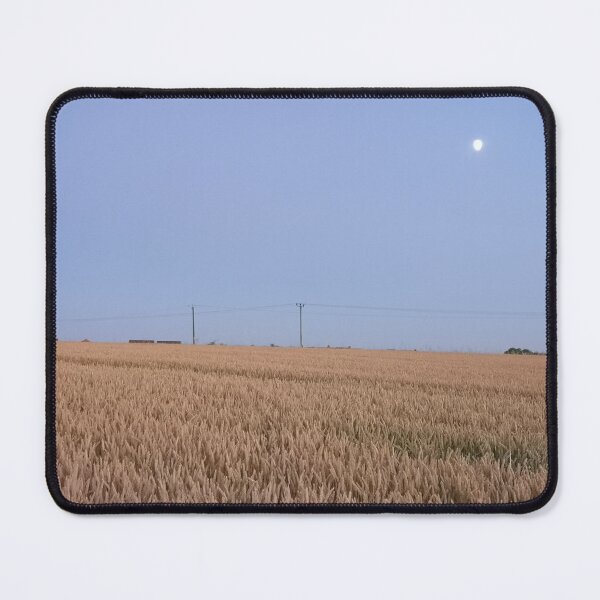 Item preview, Sunset field designed and sold by Paintbase.